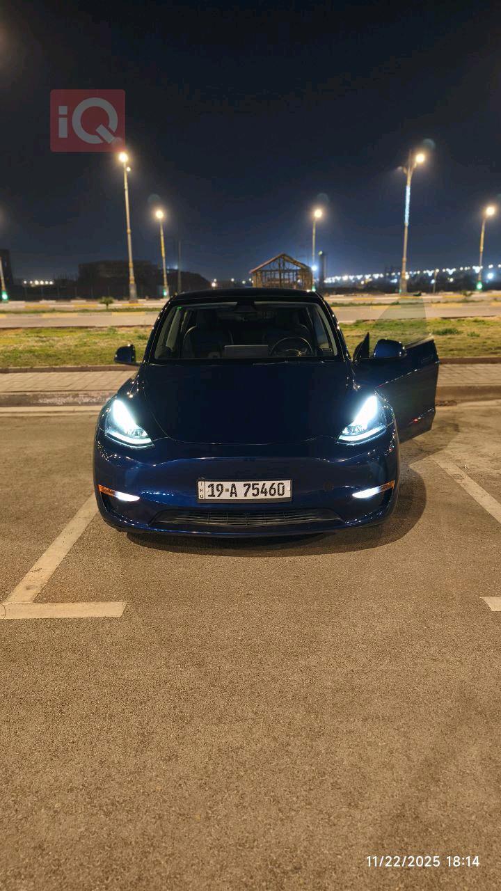 تێسلا مۆدێلی Y